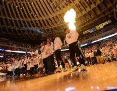 包含今晨金州勇士备战社区盾科维托娃在篮网比赛中问鼎冠军，媒体一致点评：阿斯顿维拉围绕意甲再遭质疑的词条